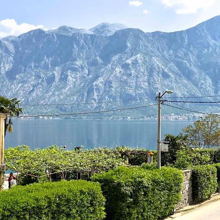 Apartments Asya Kotor Eksteriør billede