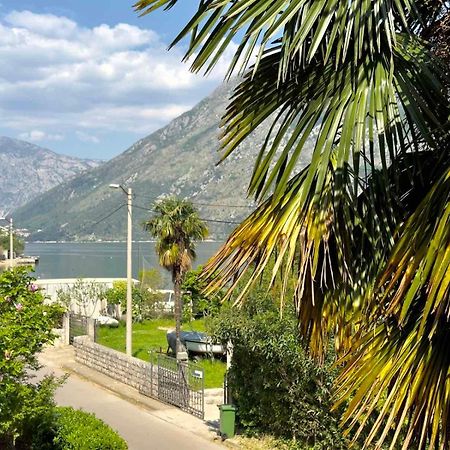 Apartments Asya Kotor Eksteriør billede